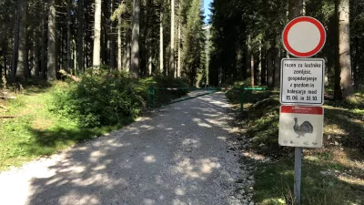 Triglavski narodni park: vlada o novem direktoru