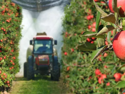 Industrijska proizvodnja je nekaj čisto drugega kot jablane v sadovnjaku. / Foto: Istock