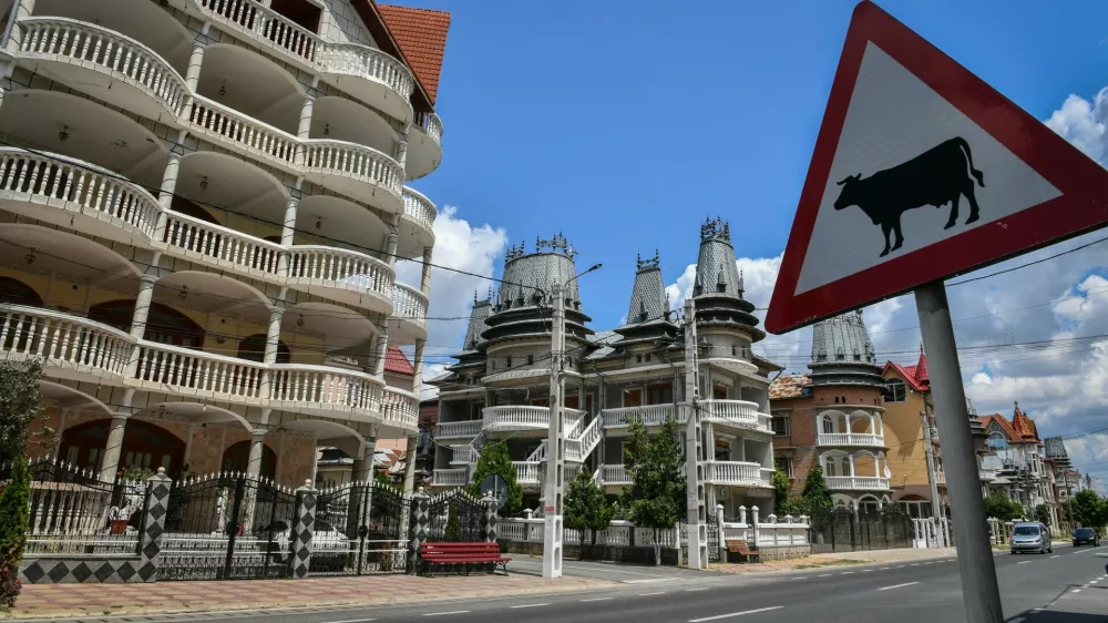 Palaces belonging to Romanian Roma people are pictured in Buzescu village, southern Romania, on July 11, 2019. In Romania's fields or on the outskirts of villages, the "Roma palaces" -- their imposing facades shining with ornaments -- stand in stark contrast to their modest surroundings, revealing their owners' quests for status within a marginalised minority.,Image: 461203988, License: Rights-managed, Restrictions: TO GO WITH AFP STORY by Ionut IORDACHESCU, Mihaela RODINA, Model Release: no