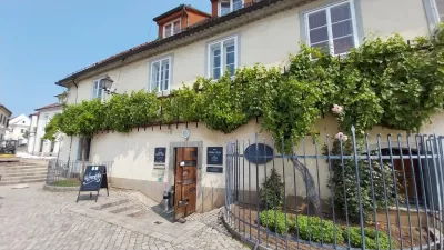 Zagotovo zelo močna zgodba Maribora je tudi najstarej&scaron;a trta na svetu. F Vesna Levičnik