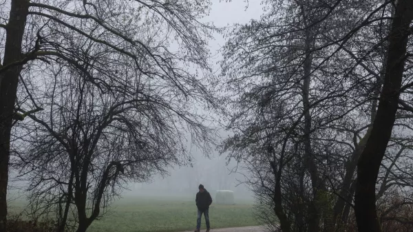 - 12.12.2025 - reportaža megla - Kose&scaron;ki bajer//FOTO: Jaka Gasar