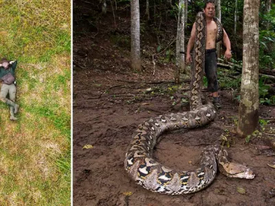Foto: Guinessova knjiga rekordov