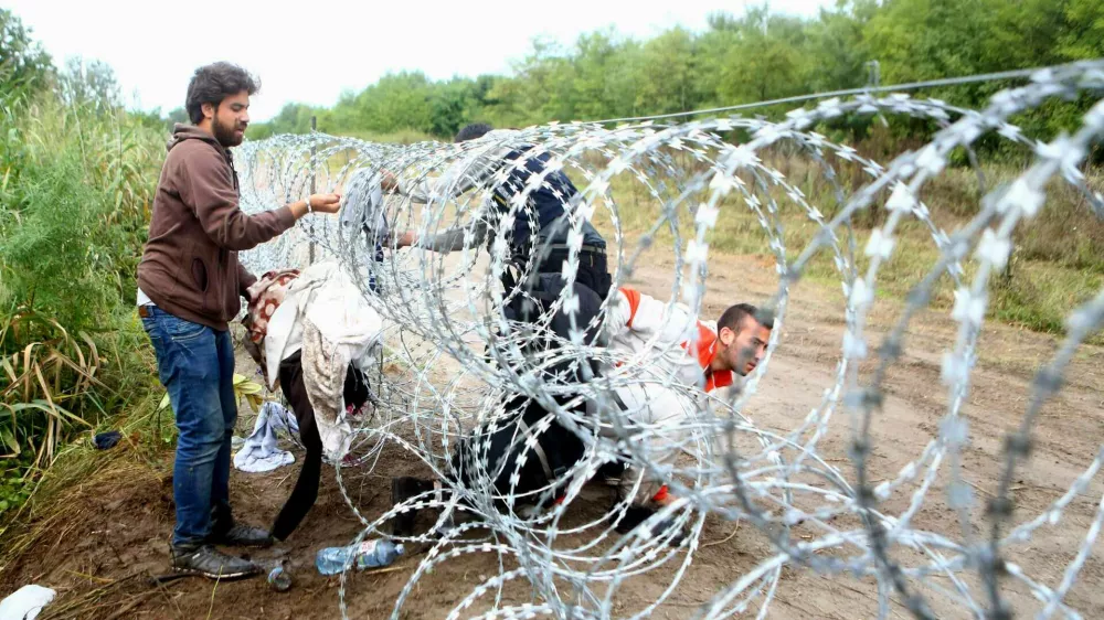 - 26.08.2015 - Madžarska - Hordos - madžarsko-srbska meja - migranti iz Sirije so prerezali ograjo in vstopili v EU - madžari so za zajezitev prebežnikov na meji s Srbijo zgradili žičnato ograjo - - Begunci 2015 - migracije po zahodni balkanski poti - migracijska pot beguncev iz Sirije, Afganistana in Iraka čez Balkan proti zahodni Evropi - evropska begunska kriza - migranti - //FOTO: Bojan Velikonja