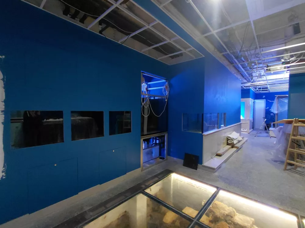 Piranski akvarij v boju s časom