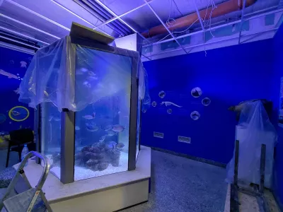 Piranski akvarij v boju s časom