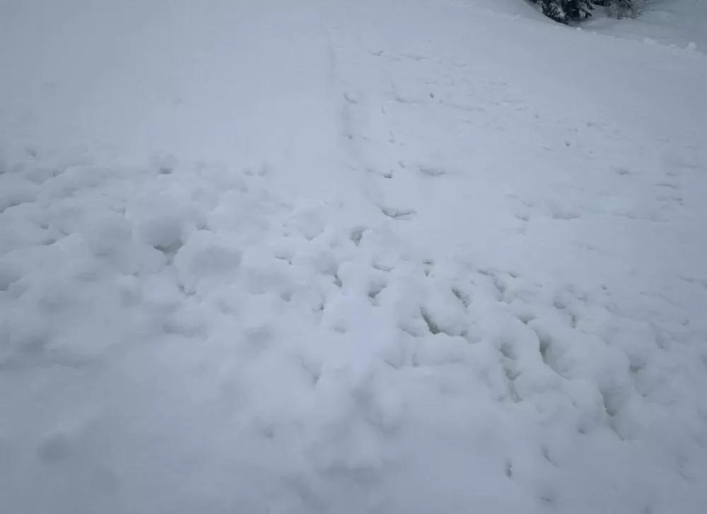 Razdejanje na progah. Foto: Krvavec