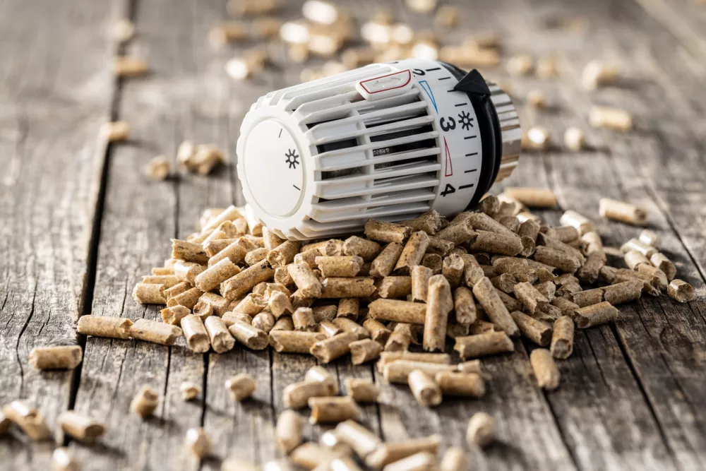 Wooden pellets and thermostatic head. / Foto: Jirkaejc