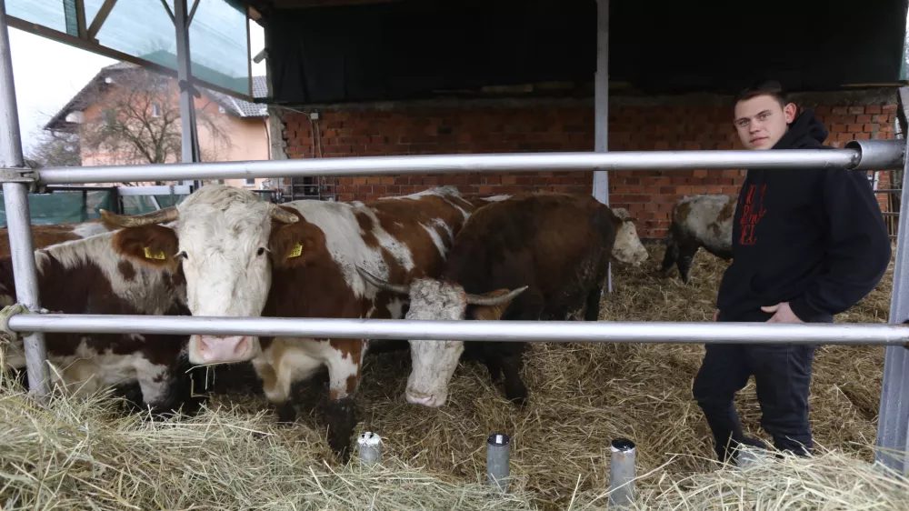 Veterinarska in&scaron;pektorica Danu&scaron;a &Scaron;tiglic je morala spet v &ldquo;malo &scaron;olo&rdquo;