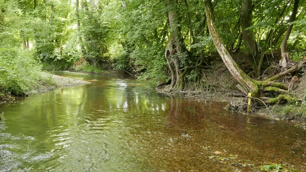 P&scaron;ata pri Meng&scaron;u