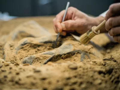 / Foto: Getty Images