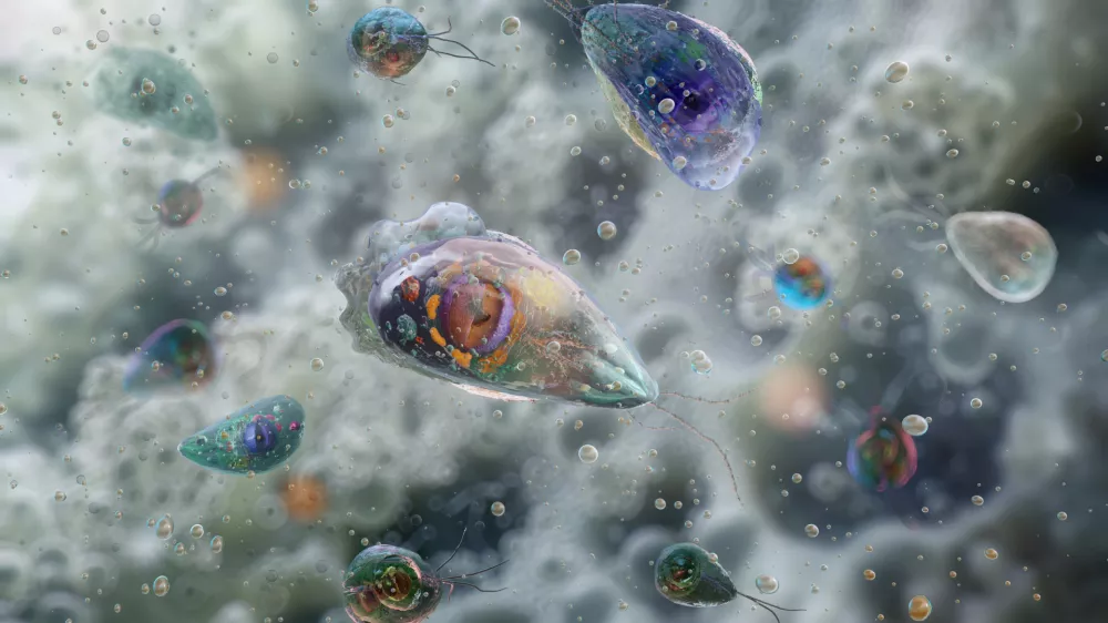 Ameba Naegleria fowleri / Foto: Istock