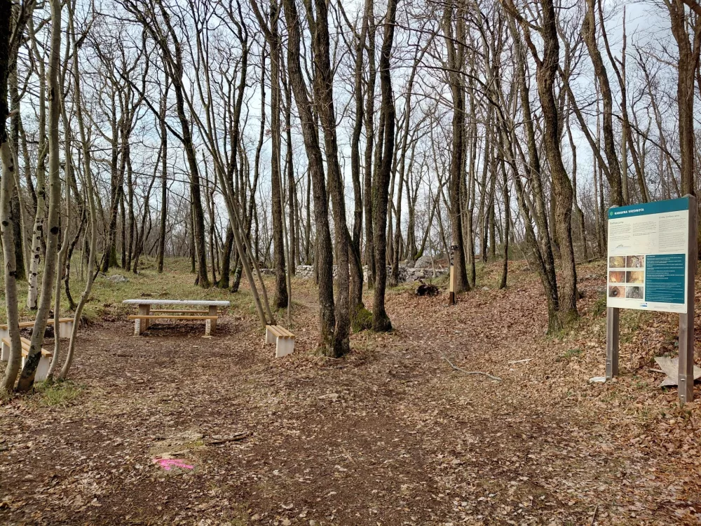 Hoja skozi odprti muzej prve svetovne vojne