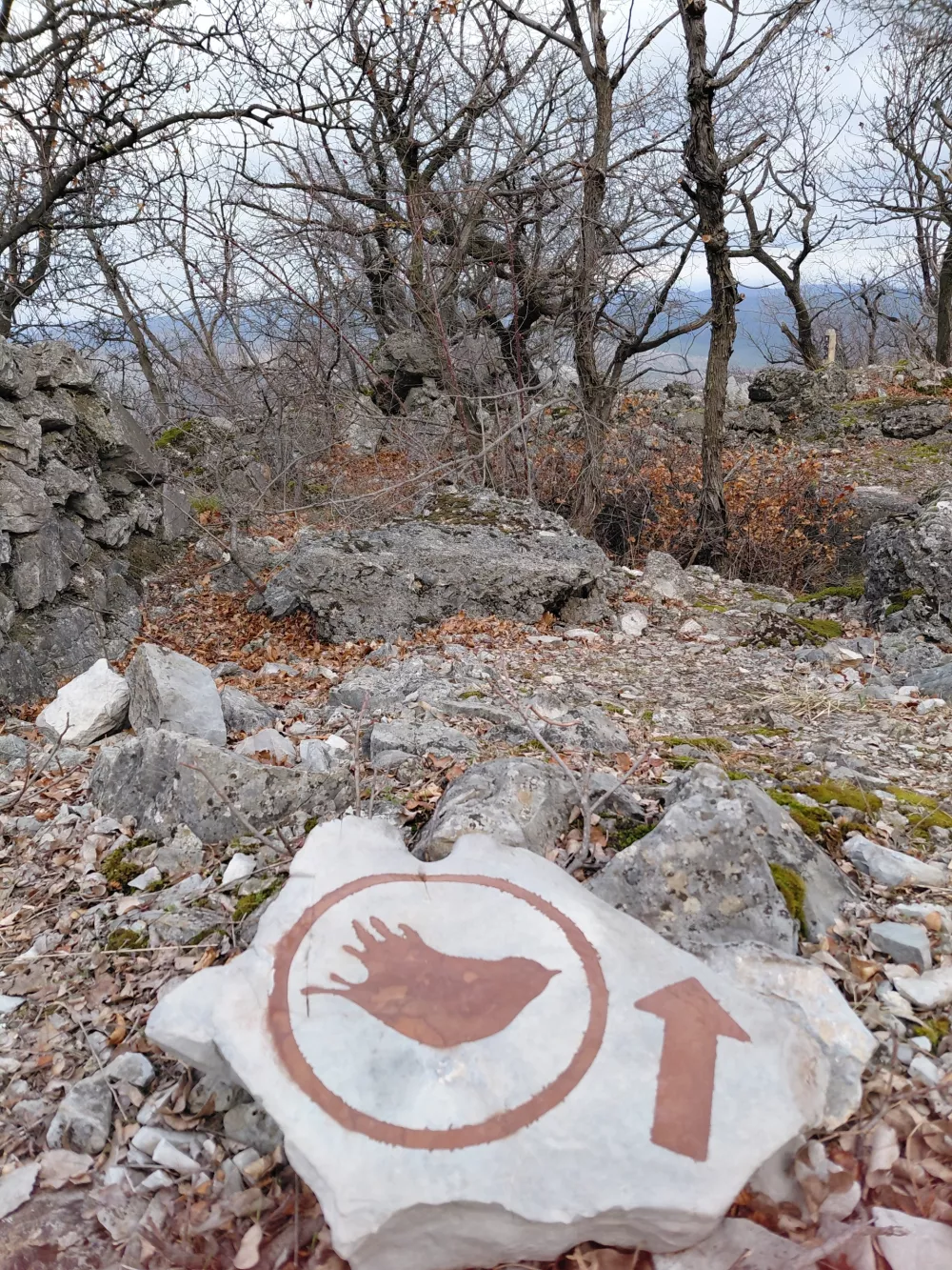 Hoja skozi odprti muzej prve svetovne vojne