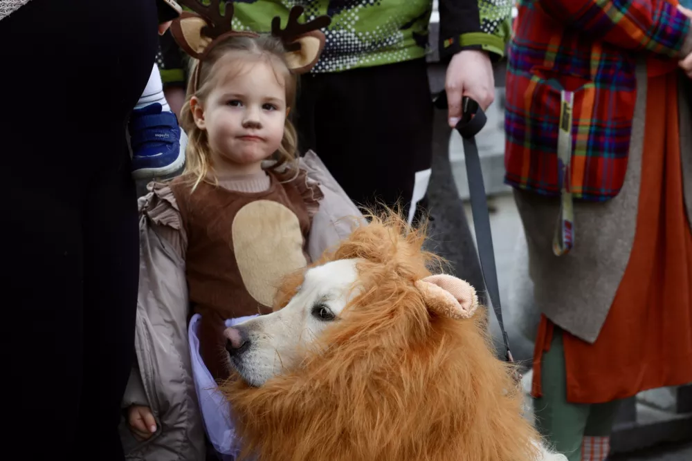 Na turobno soboto mesto prebudil karneval