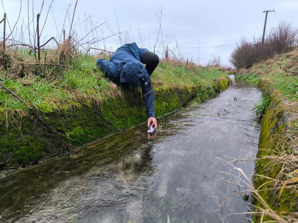 člove&scaron;ke ribice 