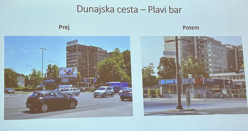 In&scaron;pektorji so plakate odstranili tudi ob Dunajski cesti. F &Scaron;pela Ferlin