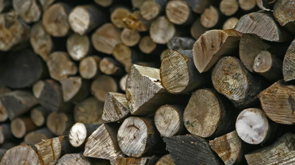Ilustrativna fotografijaPriprava drv za ogrevanje, drva, gretje, polena, sečnja drv//FOTO: Bojan Velikonja