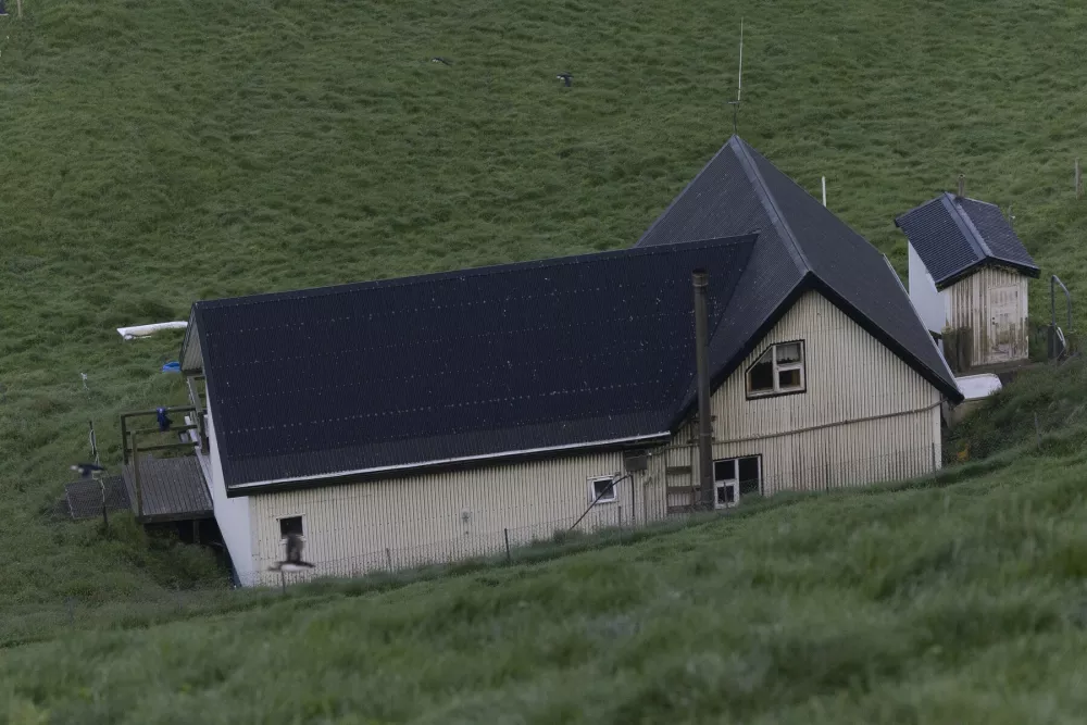 Islandija, najbolj osamljena hi&scaron;a na svetu. Foto: Profimedia