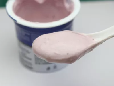 Blueberry flavored yoghurt in a spoon, Small cup of yogurt which is sour food perfect for desserts / Foto: Jeevan Gb, Getty Images