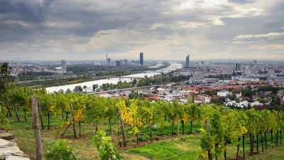 Znotraj mestnih meja Dunaja se razprostira med 600 in 700 hektarjev vinogradov, kar Dunaj uvr&scaron;ča na prvo mesto po količini mestnih vinogradni&scaron;kih povr&scaron;in na svetu. F Austrian Wine / WSNA