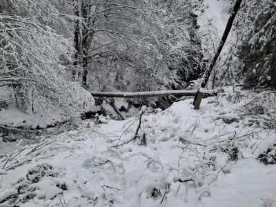 Maribor.Posledice sneznega neurja na Stajerskem.Foto: Elektro Maribor