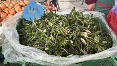 Na centralni tržnici imajo že prvi regrat. F Tamara Čalošević