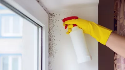 Close-up of a person wearing yellow rubber gloves spraying cleaning solution on a moldy wall near a window. The photo illustrates household mold removal, home maintenance, and moisture problems in buildings. Concept of hygiene, allergy prevention, air quality, and cleaning mold for a healthy home. / Foto: Istockphoto