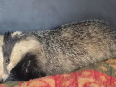 Foto: zaveti&scaron;če Dumovec