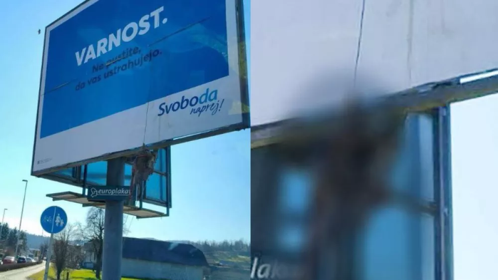 Truplo psa, G9bvanje Svoboda. Vir: FB