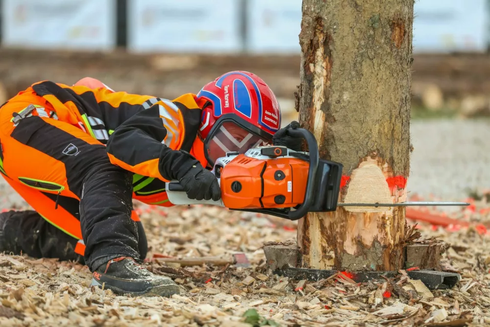 Svetovno gozdarsko prvenstvo, marec 2026, &Scaron;entjernej, gozdarji, gozd, motorka, podiranje dreves / Foto: Matej Pov&scaron;e/sidg