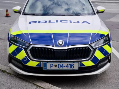 Policisti so imeli veliko dela. Slika je simbolična. / Foto: Istock