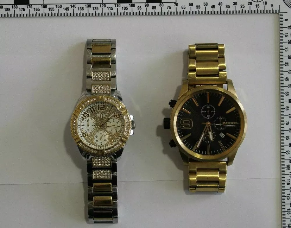 Policisti so prijeli osumljence, ki so vlamljali v hi&scaron;e in iz njih kradli nakit in ure. 