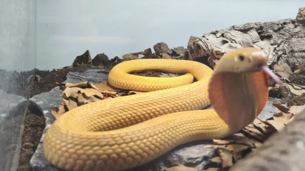 Foto: živalski vrt Zagreb