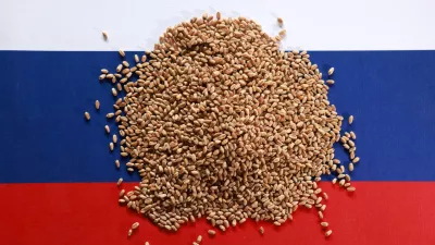 FILE PHOTO: Russian flag and wheat grains are seen in this illustration taken September 14, 2025. REUTERS/Dado Ruvic/Illustration/File Photo