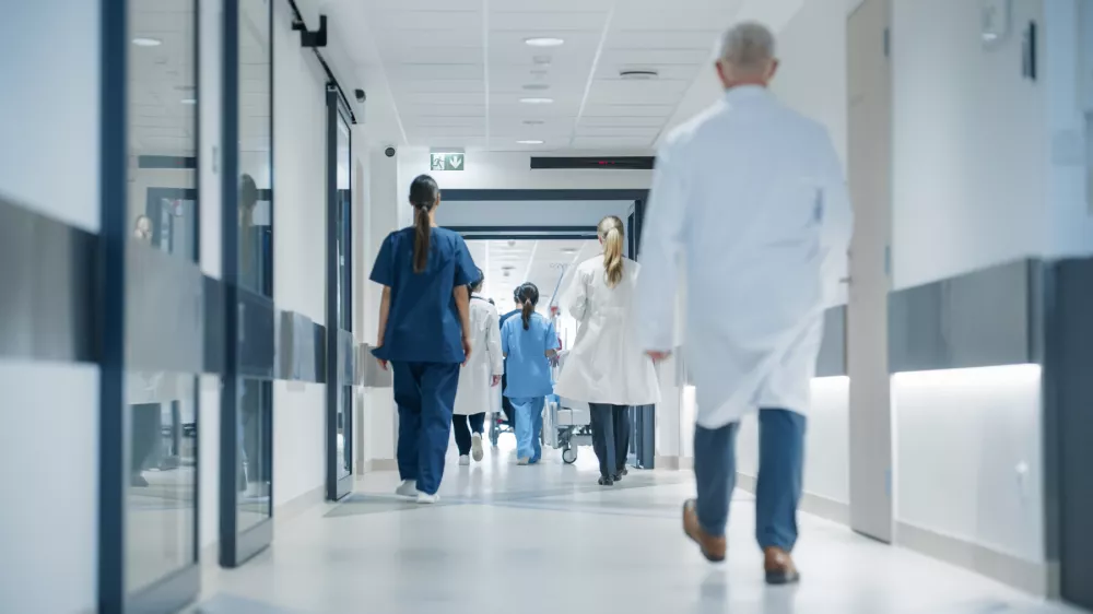 bolni&scaron;nica, zdravstvo