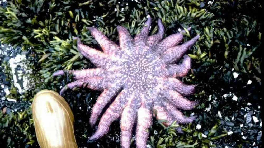 Image: 976724063, License: Rights-managed, Restrictions:, Model Release: no