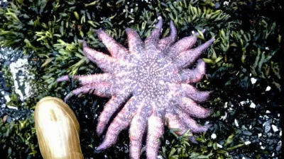 Image: 976724063, License: Rights-managed, Restrictions:, Model Release: no