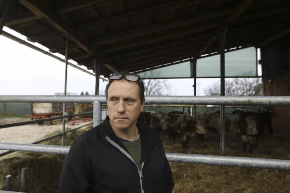 Odvzem goveda: Kmet ocenil, da je &scaron;lo za krajo