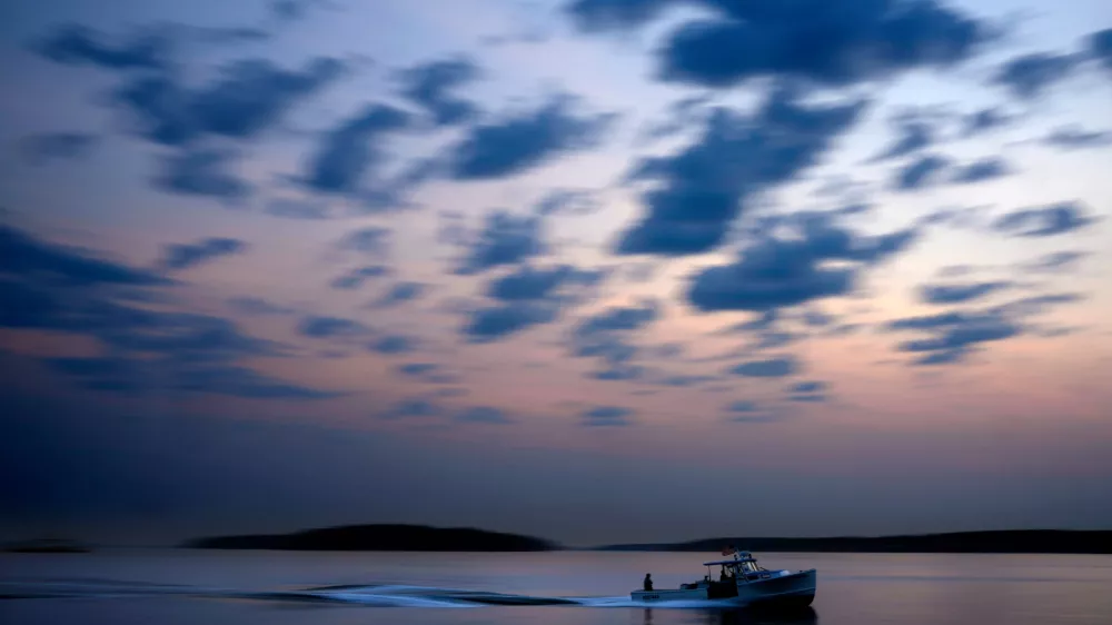 FILE - A lobster fishing boat motors out to sea under the dawn sky, Aug. 14, 2024, on Casco Bay in South Portland, Maine. (AP Photo/Robert F. Bukaty, File)