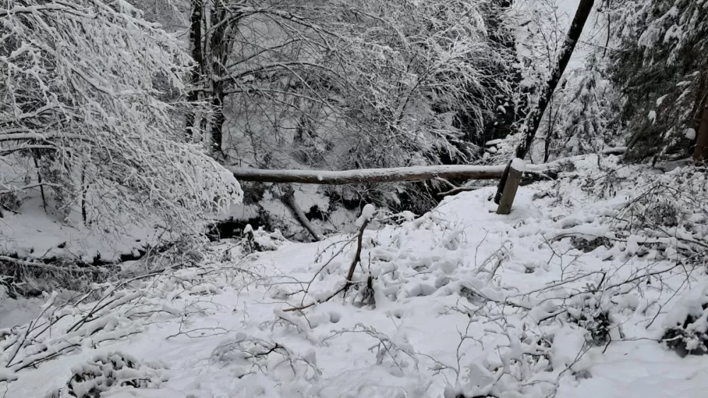 Prazne obljube z izplačili od&scaron;kodnin