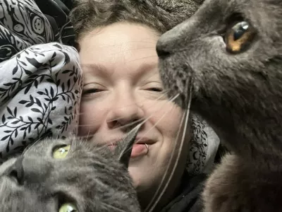 Story from Jam Press (Stray Cat Invasion)Pictured: Faye, Meemaw and Sprinkle.VIDEO: 'We found 43 stray CATS living in our new Ł52,000 home on the day we moved in'A couple who moved into their bargain Ł52,000 home were left stumped after they found 43 stray cats living inside.Joshua Howell and his partner did not realise they were moving into an occupied property when they got the keys.The 35-year-old found rooms and rooms of adorable &ndash; but mostly very poorly &ndash; moggies making themselves at home."It was an utter shock and surprise," Joshua told What's The Jam."We already had plans to start a small farm and cat rescue, but we thought it would be on our own terms, after we already had a good framework set up."We are a disabled couple so all of our energy and time goes into the care of this colony and trying to grow the rescue."Joshua and Faye, who live in Ozone, Arkansas in the US, had dreams of starting their own rescue home since first meeting in 2020.Having forked out about Ł52,000 (0,000 USD) for the small home, they had no idea it had any kind of animal infestation.But since moving in, the duo have devoted their time to improving the health of the dozens of resident felines &ndash; in some cases, saving their lives.Joshua explained: "We live out in a remote part of our state."There are few resources available to help out needy animals already."The only options were to drop them off at a shelter or ignore them."There was no way we were going to do either of those, so we decided to start the rescue now &ndash; and build it as we save the colony."I have a good friend that runs a rescue in New York. They are helping us behind the scenes get to a professional level."The couple have now started the Sunshine Pines Rescue.They are able to fix, feed, shelter, and vet all 43 of the cats.The centre has relied on the animal lovers' hard work and donations from viewers after sharing their journey online.The pair now have plans to register as a 501c3 nonprofit &ndash; the equivalent of a registered charity in the US &ndash; with goals to expand the property.Joshua said: "We have a goal of turning the cat's porch into a giant enclosed catio, and converting a little school bus from a coast-to-coast camper into a post-storm mobile pet rescue."We want to assist with other feral colonies and TNR (trap, neuter, return) projects around the state of Arkansas."We feel strongly that TNR and Spay/Neuter programs and education are crucial to minimising the unrequested kitten population that has become such a national problem."ENDSEDITOR'S NOTE: Video Usage Licence: (NON-EXCLUSIVE) We have obtained a non-exclusive licence from the copyright holder. A copy of the licence is available on request.Video Restrictions: None.,Image: 1079701956, License: Rights-managed, Restrictions: EDITOR'S NOTE: Video Usage Licence: (NON-EXCLUSIVE) We have obtained a non-exclusive licence from the copyright holder. A copy of the licence is available on request.Video Restrictions: None., Model Release: no