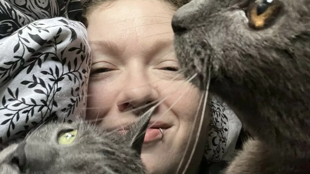 Story from Jam Press (Stray Cat Invasion)Pictured: Faye, Meemaw and Sprinkle.VIDEO: 'We found 43 stray CATS living in our new Ł52,000 home on the day we moved in'A couple who moved into their bargain Ł52,000 home were left stumped after they found 43 stray cats living inside.Joshua Howell and his partner did not realise they were moving into an occupied property when they got the keys.The 35-year-old found rooms and rooms of adorable &ndash; but mostly very poorly &ndash; moggies making themselves at home."It was an utter shock and surprise," Joshua told What's The Jam."We already had plans to start a small farm and cat rescue, but we thought it would be on our own terms, after we already had a good framework set up."We are a disabled couple so all of our energy and time goes into the care of this colony and trying to grow the rescue."Joshua and Faye, who live in Ozone, Arkansas in the US, had dreams of starting their own rescue home since first meeting in 2020.Having forked out about Ł52,000 (0,000 USD) for the small home, they had no idea it had any kind of animal infestation.But since moving in, the duo have devoted their time to improving the health of the dozens of resident felines &ndash; in some cases, saving their lives.Joshua explained: "We live out in a remote part of our state."There are few resources available to help out needy animals already."The only options were to drop them off at a shelter or ignore them."There was no way we were going to do either of those, so we decided to start the rescue now &ndash; and build it as we save the colony."I have a good friend that runs a rescue in New York. They are helping us behind the scenes get to a professional level."The couple have now started the Sunshine Pines Rescue.They are able to fix, feed, shelter, and vet all 43 of the cats.The centre has relied on the animal lovers' hard work and donations from viewers after sharing their journey online.The pair now have plans to register as a 501c3 nonprofit &ndash; the equivalent of a registered charity in the US &ndash; with goals to expand the property.Joshua said: "We have a goal of turning the cat's porch into a giant enclosed catio, and converting a little school bus from a coast-to-coast camper into a post-storm mobile pet rescue."We want to assist with other feral colonies and TNR (trap, neuter, return) projects around the state of Arkansas."We feel strongly that TNR and Spay/Neuter programs and education are crucial to minimising the unrequested kitten population that has become such a national problem."ENDSEDITOR'S NOTE: Video Usage Licence: (NON-EXCLUSIVE) We have obtained a non-exclusive licence from the copyright holder. A copy of the licence is available on request.Video Restrictions: None.,Image: 1079701956, License: Rights-managed, Restrictions: EDITOR'S NOTE: Video Usage Licence: (NON-EXCLUSIVE) We have obtained a non-exclusive licence from the copyright holder. A copy of the licence is available on request.Video Restrictions: None., Model Release: no
