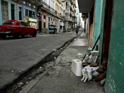 A man and his cat sit at the door of their home as Cuba's President Miguel Diaz-Canel announces on state television that the country has opened talks with the U.S. government amid a severe economic crisis and as the Communist government has come under increasing pressure from U.S. President Donald Trump, in Havana, Cuba, March 13, 2026. REUTERS/Norlys Perez   TPX IMAGES OF THE DAY