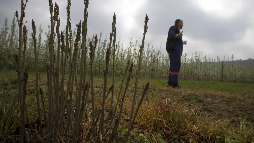&Scaron;parglji, reportaža Objektiv, , //FOTO: Jaka AdamičOPOMBA: ZA OBJAVO V ČASOPISU DNEVNIK