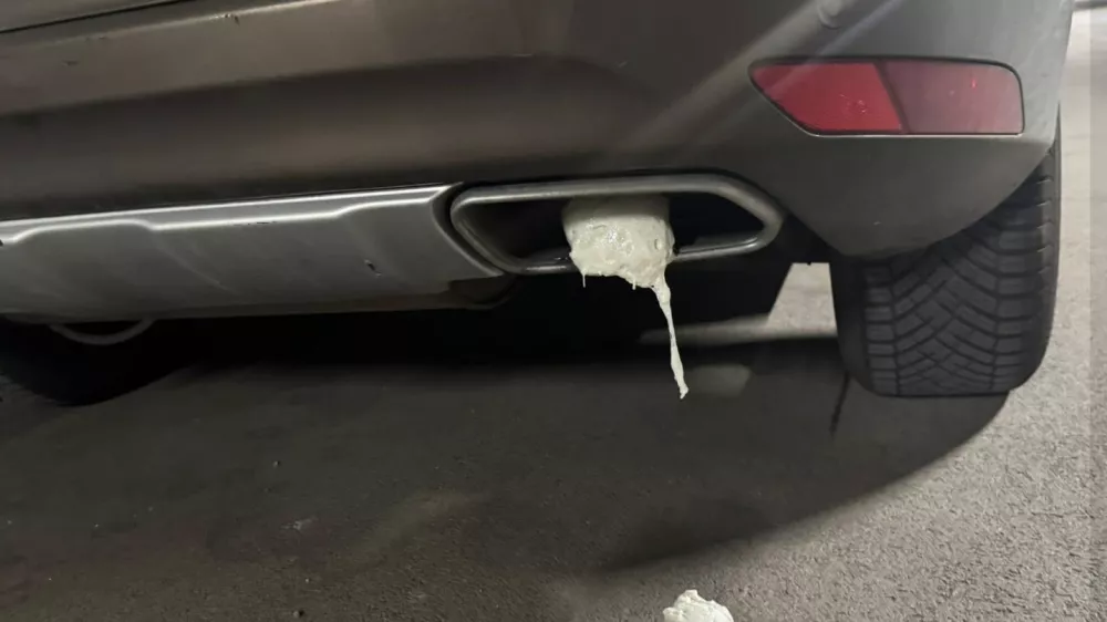 Foto: zajem zaslona fb