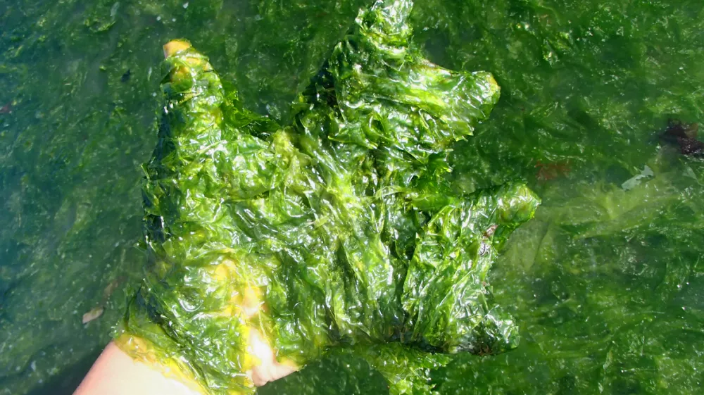 / Foto: Getty Images