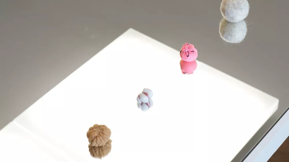 Majhna dela, velika napetost