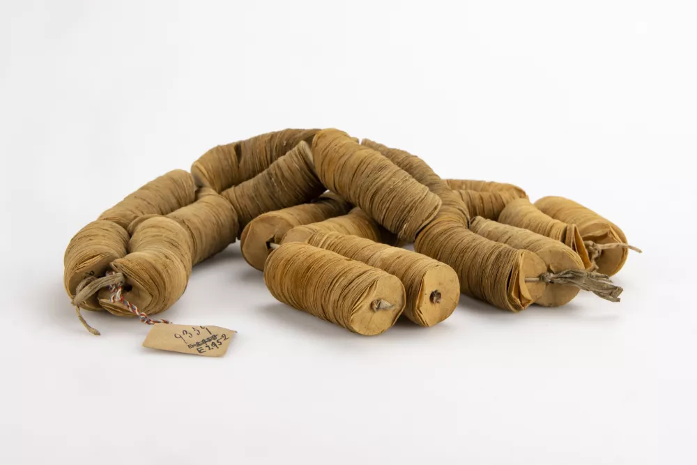 Kitajski denar na vrvici - hrani SEM. / Foto: Blaž Verbič / Sem