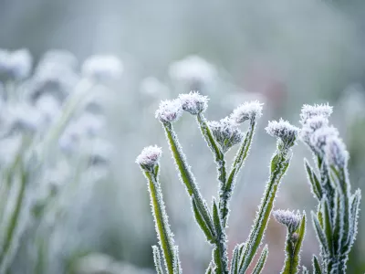 Jutranja slana. Slika je simbolična. / Foto: Istock