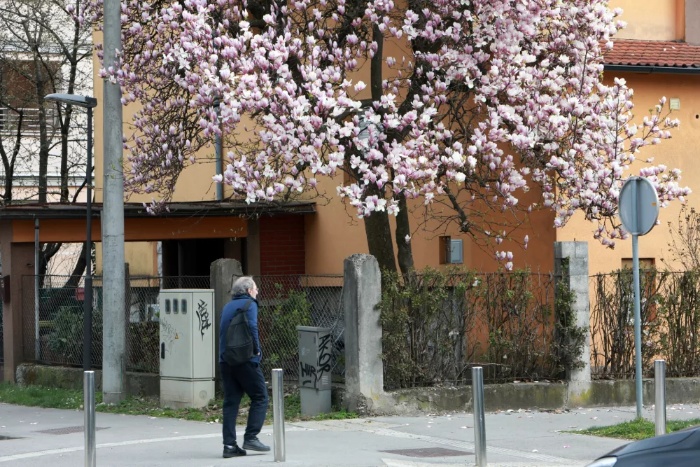 (FOTOZGODBA) Danes &scaron;e v cvetju, jutri v snegu